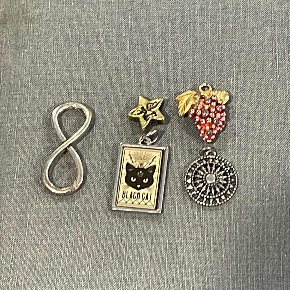Assorted Silver and Gold Charms Black cat, grapes, infinity loop.